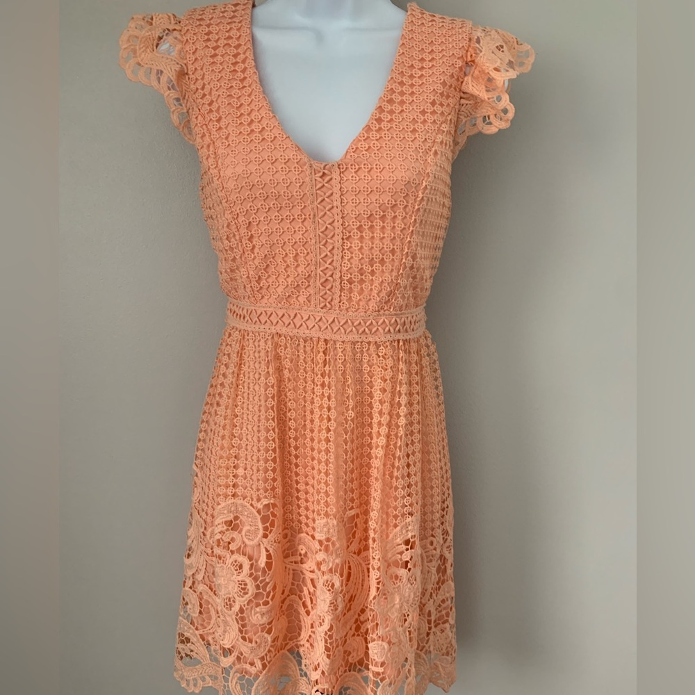 Altard State Lace Dress